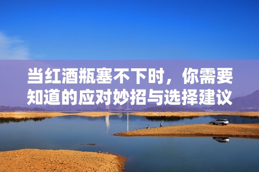 当红酒瓶塞不下时，你需要知道的应对妙招与选择建议