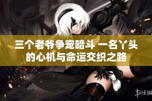 三个老爷争宠暗斗 一名丫头的心机与命运交织之路