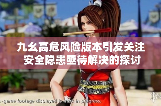 九幺高危风险版本引发关注 安全隐患亟待解决的探讨与分析