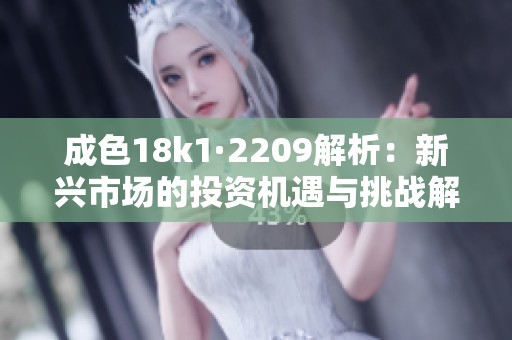 成色18k1·2209解析：新兴市场的投资机遇与挑战解析