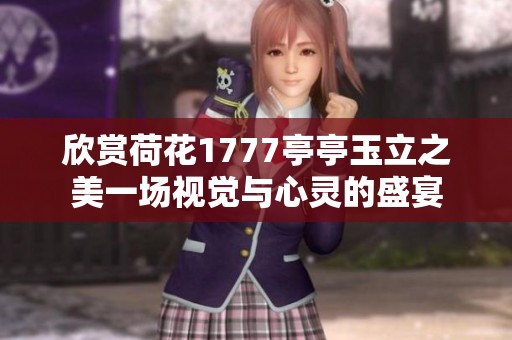 欣赏荷花1777亭亭玉立之美一场视觉与心灵的盛宴