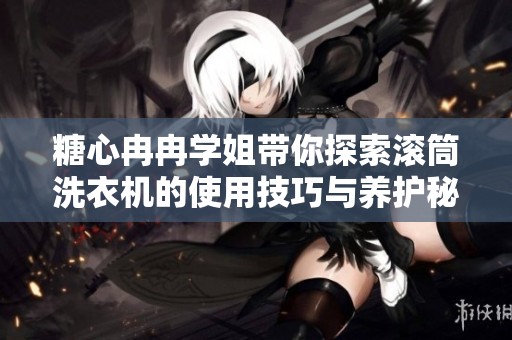 糖心冉冉学姐带你探索滚筒洗衣机的使用技巧与养护秘籍
