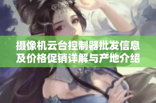 摄像机云台控制器批发信息及价格促销详解与产地介绍