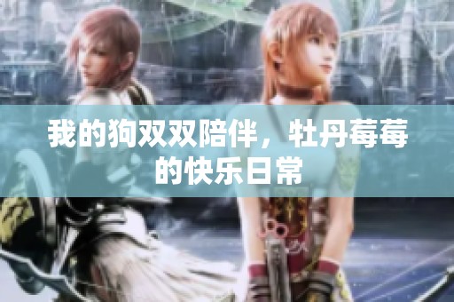 我的狗双双陪伴，牡丹莓莓的快乐日常