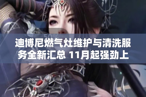 迪博尼燃气灶维护与清洗服务全新汇总 11月起强劲上线