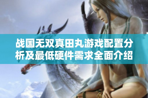 战国无双真田丸游戏配置分析及最低硬件需求全面介绍