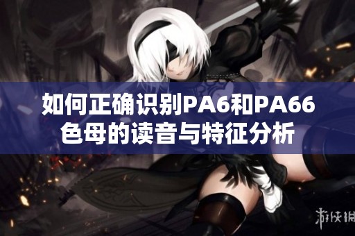 如何正确识别PA6和PA66色母的读音与特征分析