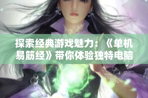 探索经典游戏魅力：《单机易筋经》带你体验独特电脑游戏乐趣