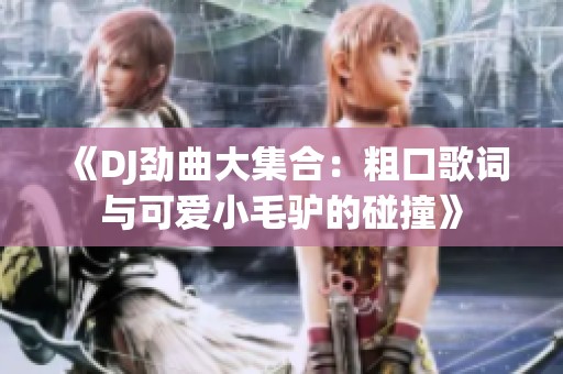 《DJ劲曲大集合：粗口歌词与可爱小毛驴的碰撞》