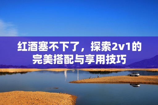 红酒塞不下了，探索2v1的完美搭配与享用技巧