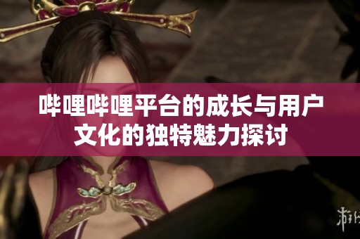 哔哩哔哩平台的成长与用户文化的独特魅力探讨