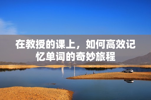 在教授的课上，如何高效记忆单词的奇妙旅程