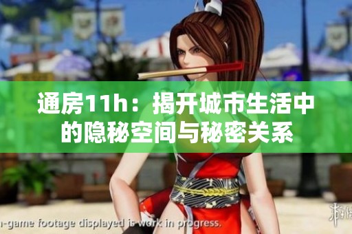 通房11h：揭开城市生活中的隐秘空间与秘密关系