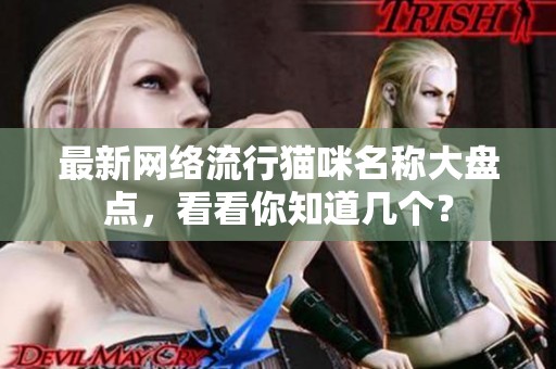 最新网络流行猫咪名称大盘点，看看你知道几个？
