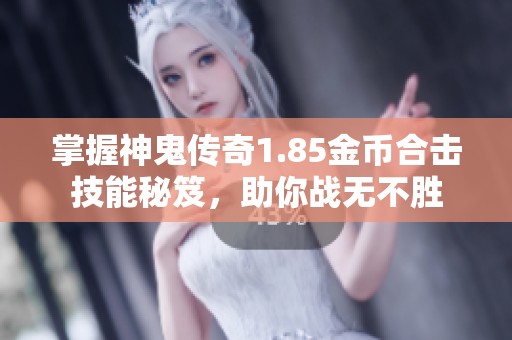 掌握神鬼传奇1.85金币合击技能秘笈，助你战无不胜