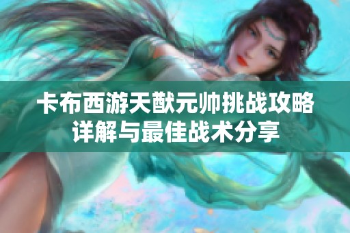 卡布西游天猷元帅挑战攻略详解与最佳战术分享