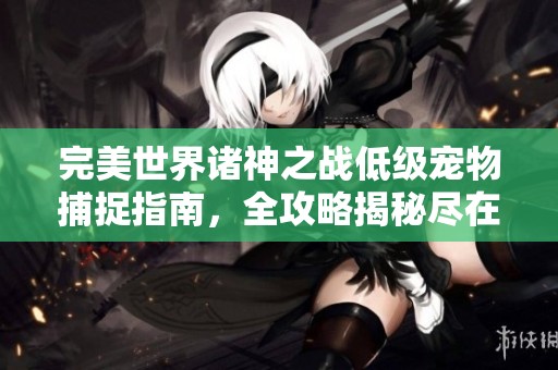 完美世界诸神之战低级宠物捕捉指南，全攻略揭秘尽在时空手游网