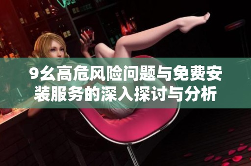 9幺高危风险问题与免费安装服务的深入探讨与分析