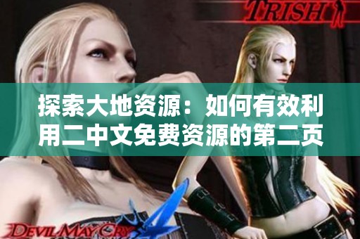 探索大地资源：如何有效利用二中文免费资源的第二页内容