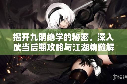 揭开九阴绝学的秘密，深入武当后期攻略与江湖精髓解析