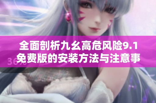 全面剖析九幺高危风险9.1免费版的安装方法与注意事项