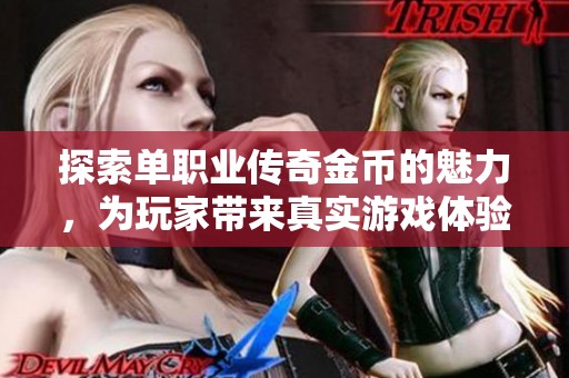 探索单职业传奇金币的魅力，为玩家带来真实游戏体验的评测与解析