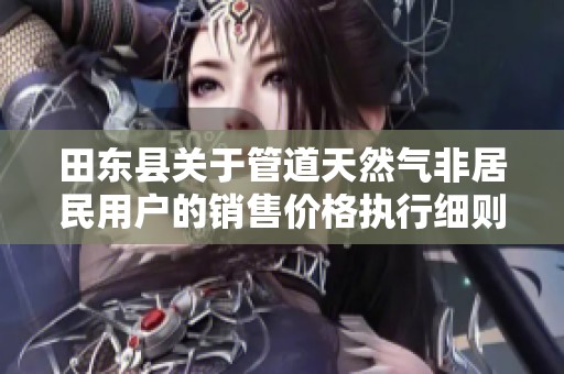 田东县关于管道天然气非居民用户的销售价格执行细则解读与实施路径