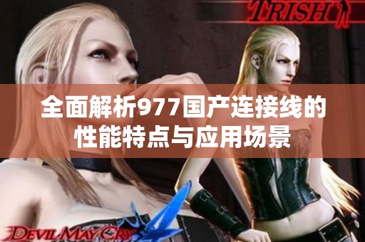 全面解析977国产连接线的性能特点与应用场景