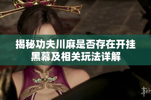 揭秘功夫川麻是否存在开挂黑幕及相关玩法详解