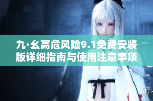 九·幺高危风险9.1免费安装版详细指南与使用注意事项