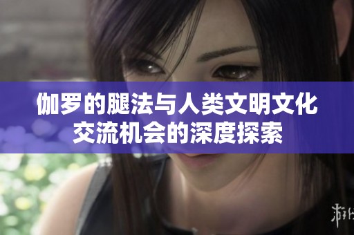 伽罗的腿法与人类文明文化交流机会的深度探索
