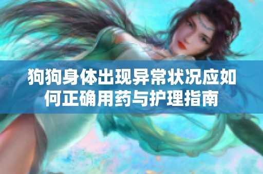 狗狗身体出现异常状况应如何正确用药与护理指南