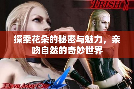 探索花朵的秘密与魅力，亲吻自然的奇妙世界