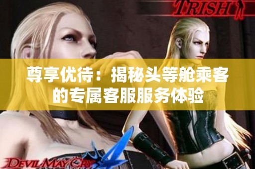 尊享优待：揭秘头等舱乘客的专属客服服务体验