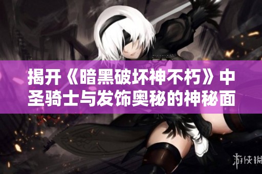 揭开《暗黑破坏神不朽》中圣骑士与发饰奥秘的神秘面纱