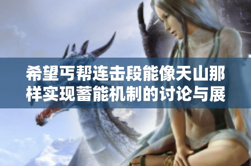 希望丐帮连击段能像天山那样实现蓄能机制的讨论与展望