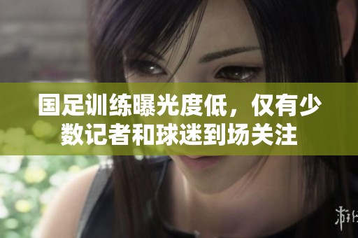 国足训练曝光度低，仅有少数记者和球迷到场关注
