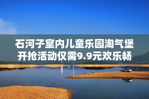 石河子室内儿童乐园淘气堡开抢活动仅需9.9元欢乐畅玩