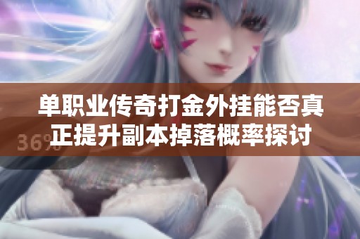 单职业传奇打金外挂能否真正提升副本掉落概率探讨