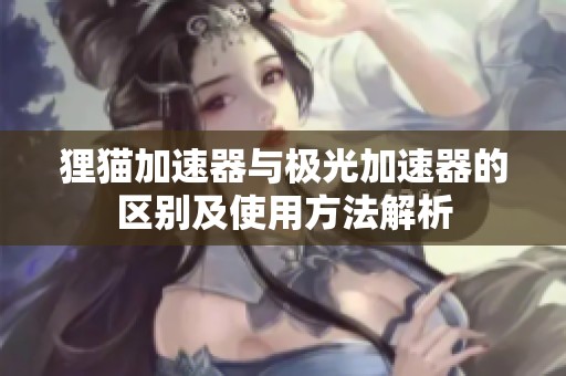 狸猫加速器与极光加速器的区别及使用方法解析