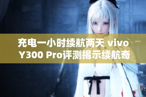 充电一小时续航两天 vivo Y300 Pro评测揭示续航奇迹