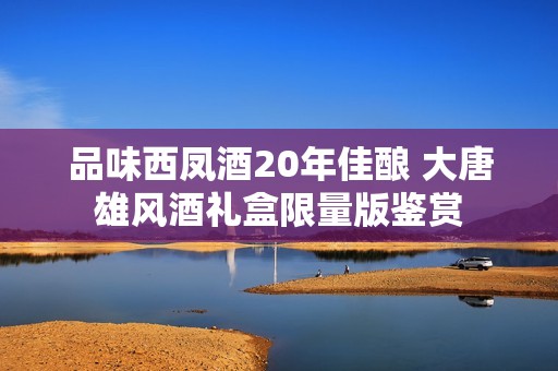 品味西凤酒20年佳酿 大唐雄风酒礼盒限量版鉴赏