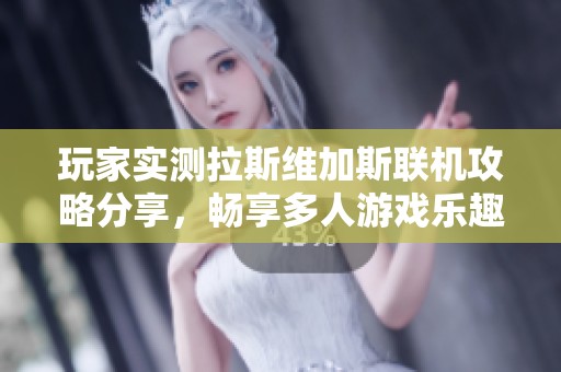 玩家实测拉斯维加斯联机攻略分享，畅享多人游戏乐趣