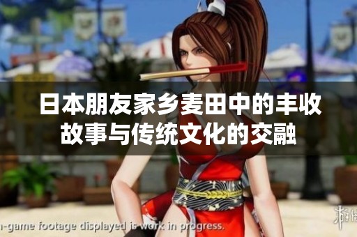 日本朋友家乡麦田中的丰收故事与传统文化的交融