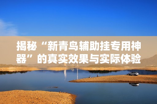 揭秘“新青鸟辅助挂专用神器”的真实效果与实际体验