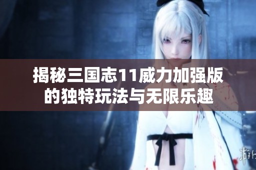 揭秘三国志11威力加强版的独特玩法与无限乐趣