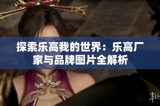 探索乐高我的世界：乐高厂家与品牌图片全解析