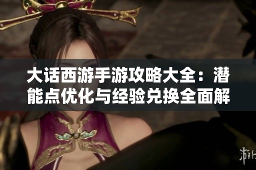 大话西游手游攻略大全：潜能点优化与经验兑换全面解析