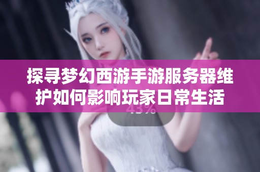 探寻梦幻西游手游服务器维护如何影响玩家日常生活
