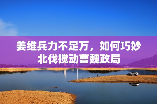 姜维兵力不足万，如何巧妙北伐搅动曹魏政局